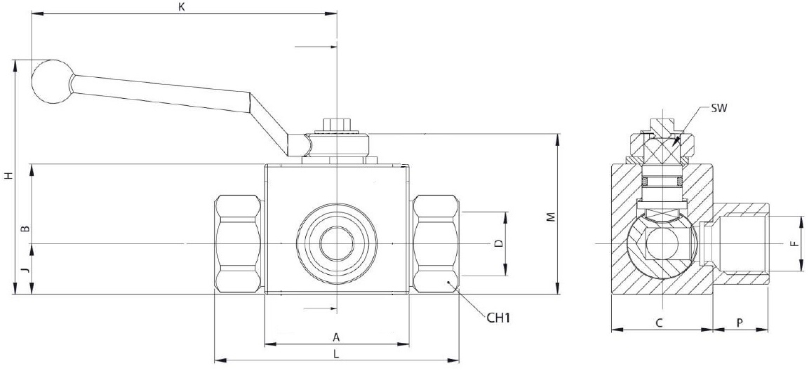 Hydraulicky 3 cestny L gulovy ventil BSP